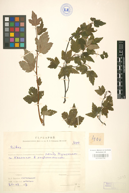 LE 01001750