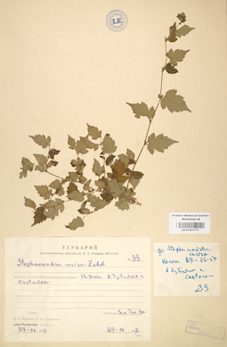 LE 01001771
