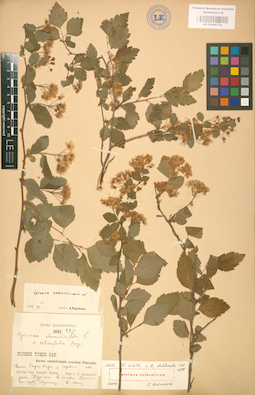LE 01001774