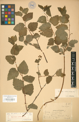 LE 01001775