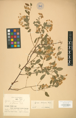 LE 01001776