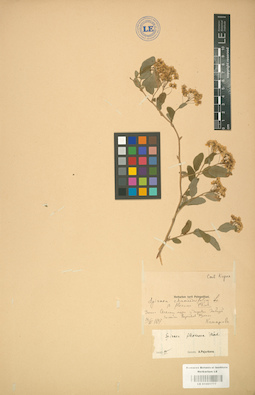 LE 01001777