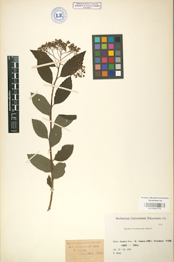 LE 01001778