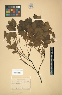 LE 01001779