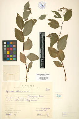 LE 01001782