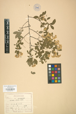 LE 01001783
