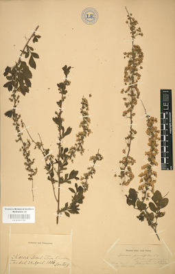 LE 01001785