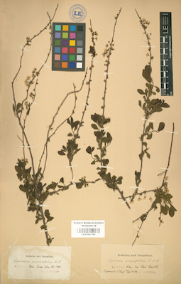 LE 01001786