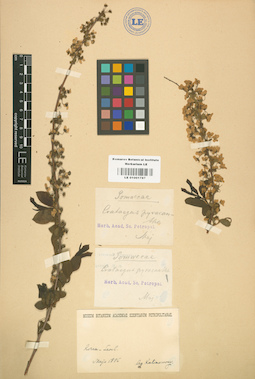 LE 01001787