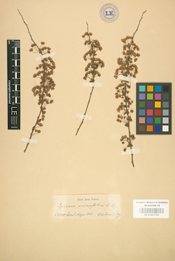 LE 01001788