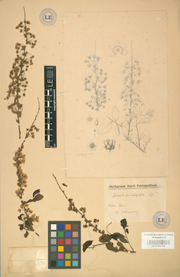 LE 01001789