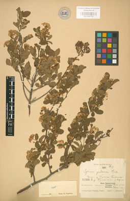 LE 01001790