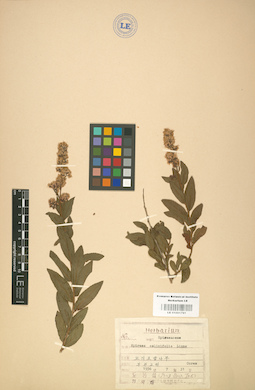 LE 01001791