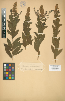 LE 01001792