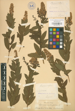 LE 01001793