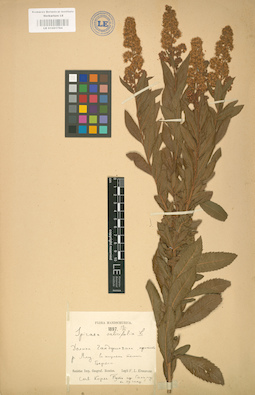 LE 01001794