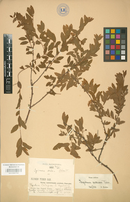LE 01001795