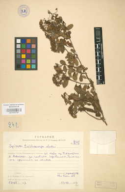 LE 01001796