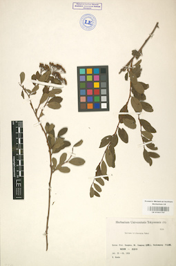 LE 01001797