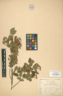 LE 01001798