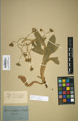LE 01001799
