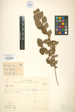LE 01001800
