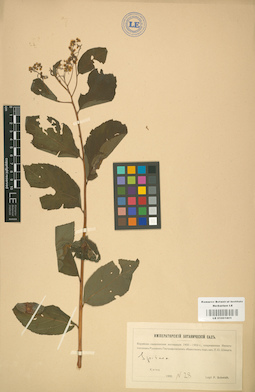 LE 01001801