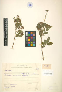 LE 01001802