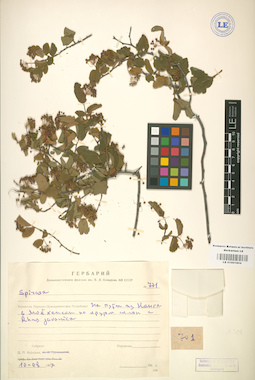 LE 01001804