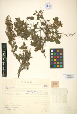 LE 01001805