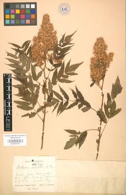 LE 01001810
