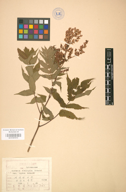 LE 01001812