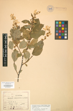 LE 01001813