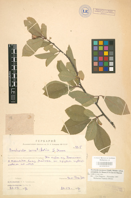 LE 01001814