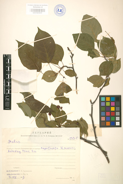 LE 01001815