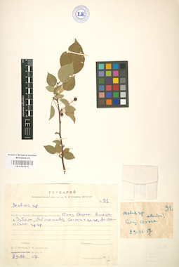LE 01001816