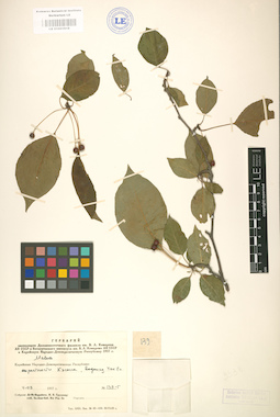 LE 01001818