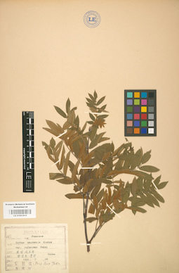 LE 01001819