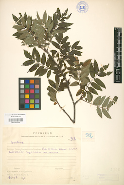 LE 01001820