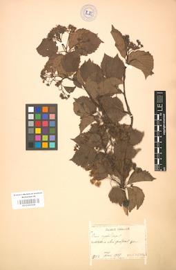 LE 01001828
