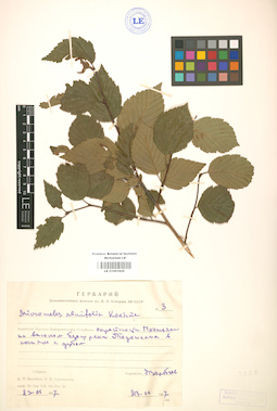 LE 01001829