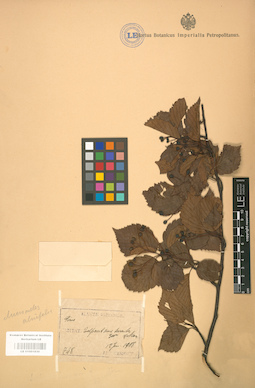 LE 01001830