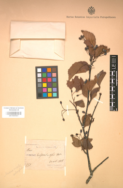 LE 01001831