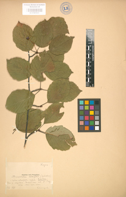 LE 01001833