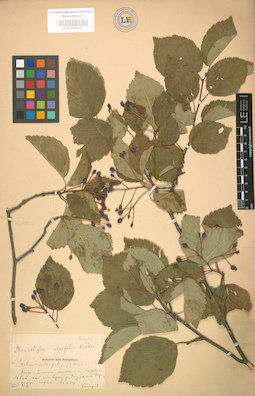 LE 01001834