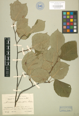 LE 01001835