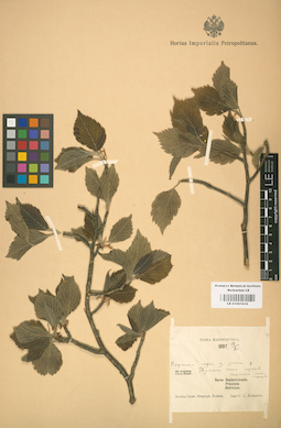LE 01001836