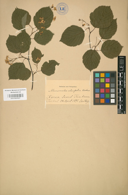 LE 01001837