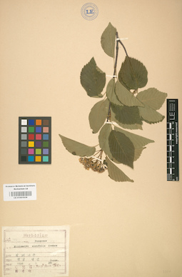 LE 01001839