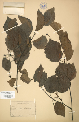 LE 01001840